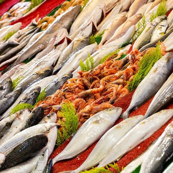 혈관 속 기름 싹 다 밀어낸다! 의사들이 추천하는 ‘혈관 청소 음식’ TOP 3!