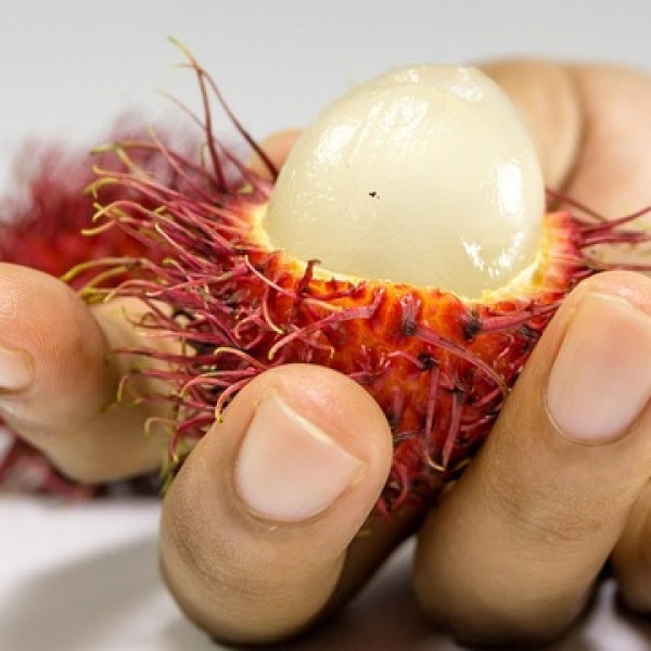 뷔페 가면 꼭 먹어야 할 최고의 건강 과일! 피부, 장, 피로까지 잡는 놀라운 효과!