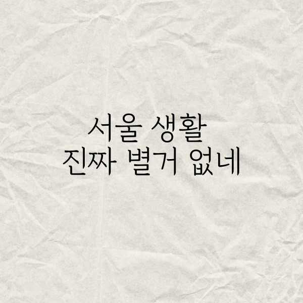 서울 생활 진짜 벌거 없네