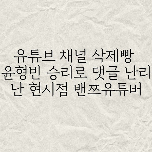 유튜브채널 삭제빵 로드FC 윤형빈 승리로 난리난 밴쯔유튜버