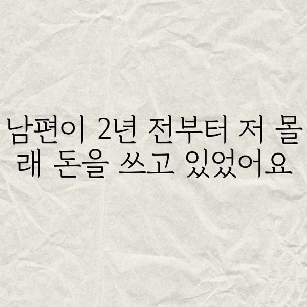 남편이 2년전부터 저 몰래 돈을 쓰고있었어요