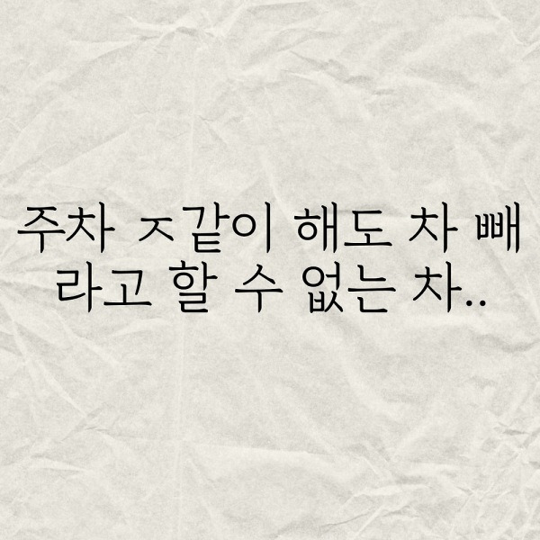 주차 ㅈ같이 해도 차 빼라고 할 수 없는차