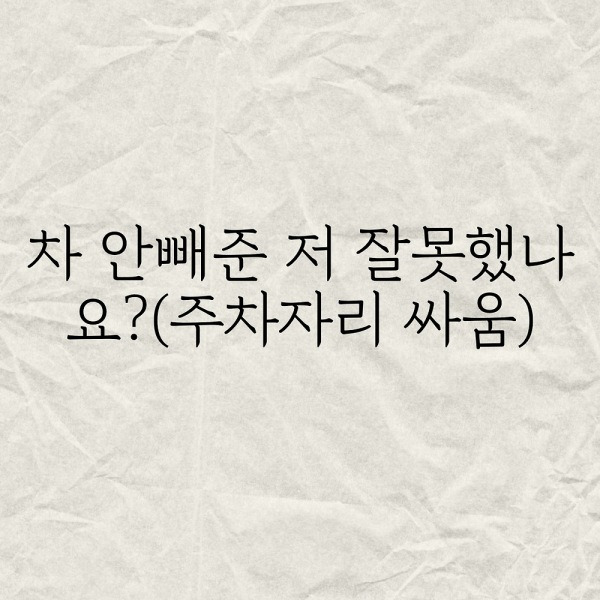 차 안빼준 저 잘못했나요(주차자리 싸움)