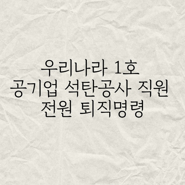 우리나라 1호 공기업 석탄공사 직원 전원 퇴직명령