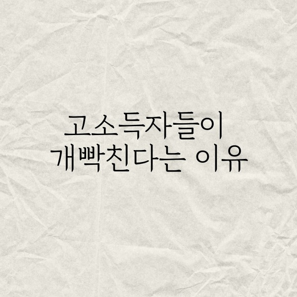 고소득자들이 개빡친다는 이유