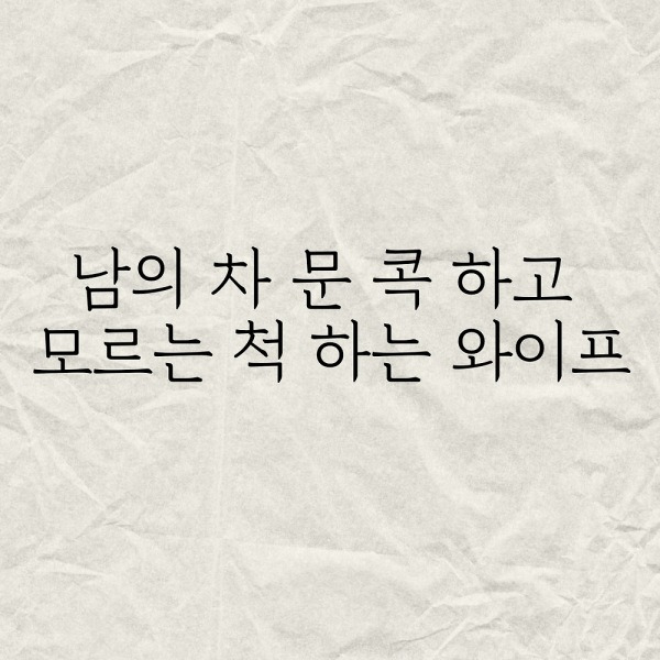 다른사람 차 문콕하고 모르는척 하는 와이프