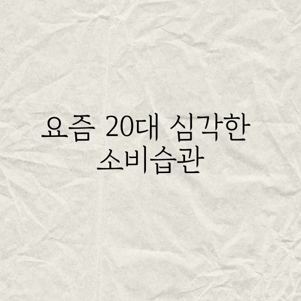 요즘 20대 심각한 소비습관