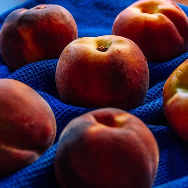 “매실·복숭아 씨앗 먹고 죽을 수도?”…당신이 몰랐던 과일 속 치명적 독극물!