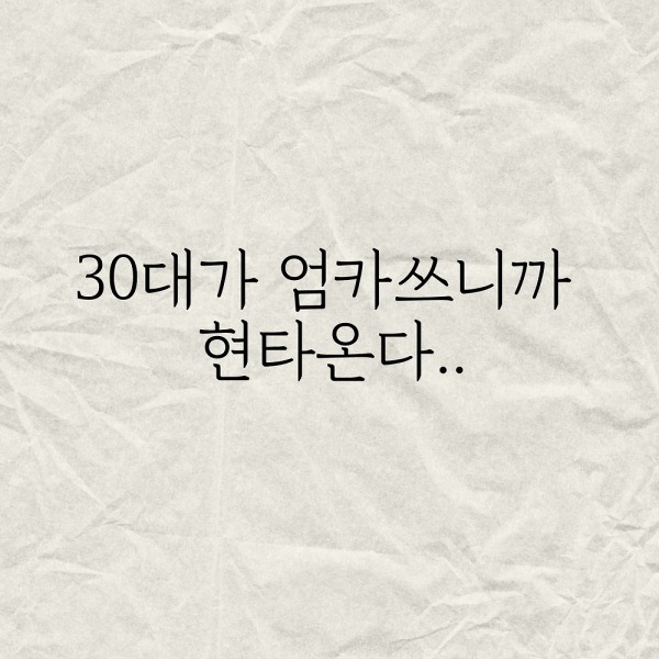 30대가 엄카쓰니까 현타온다..