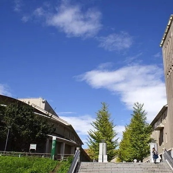 충격! 도쿄 도립대학, 밥 맛없는 식당에 칼부림까지? 그래도 낭만은 있다!