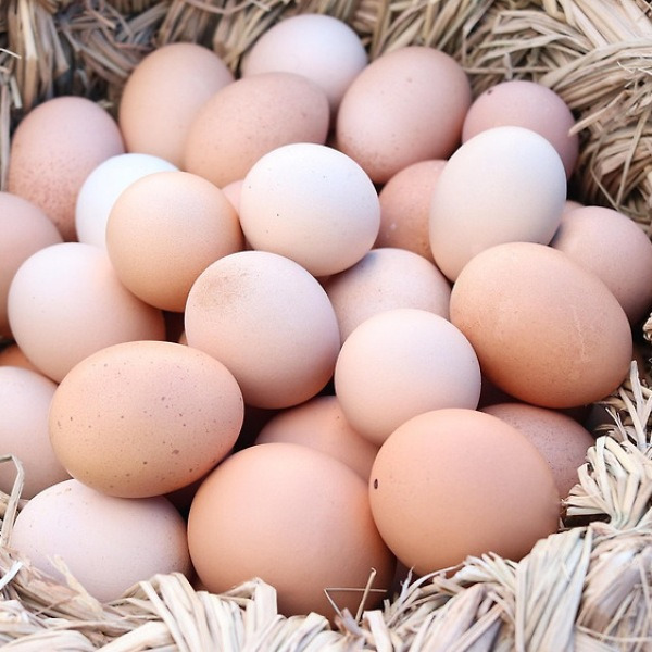 "계란 껍질, ‘이것’ 하나 넣었더니…10초 만에 스르륵 벗겨졌다!"