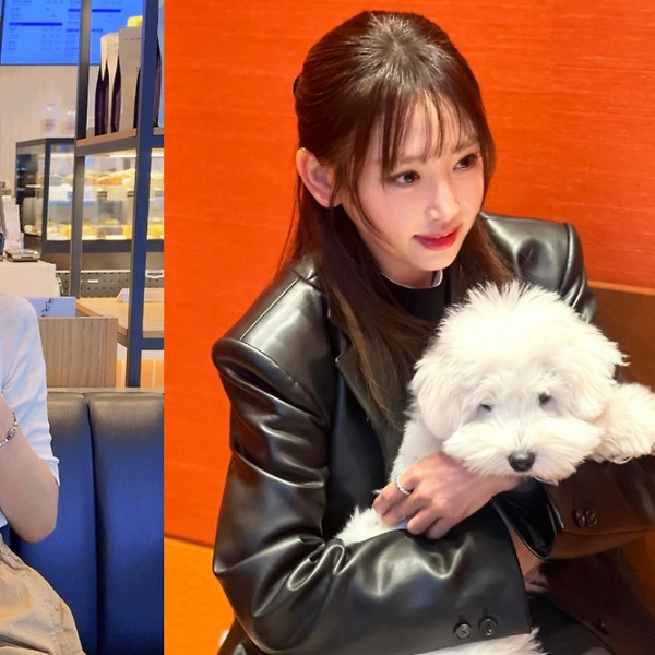 성형 복원 고백 후 잠적한 여배우… 그녀가 2년 만에 다시 방송에 나선 이유