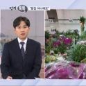 [정치톡톡] "꽃집 아니에요" / 점쳐진 별의 순간 / 국회의장 선수 파괴?