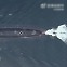 [차이나워치] 중국 '미국 본토 타격 가능' 핵잠수함 영상 공개