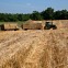 [줌인] 코로나·우크라戰으로 식품가격 급등 주범된 공급망 세계화