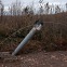 “러시아, 핵탄두 제거한 미사일 우크라에 발사”…이유는?