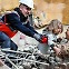 [7NEWS] 튀르키예·시리아 지진 피해 커져...구조 골든타임 72시간
