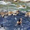 [책꽂이] 산 정상·해변 모래까지 누빈 야생 온천 탐방기