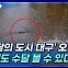 [뉴스+] '수달의 도시 대구' 오면 낮에도 수달 볼 수 있다?