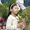 다가온 식목일..."희망의 나무 나눠요" [뉴스+현장]
