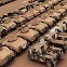 미군이 아프간 철수 때 버린 군용차량 수백대…탈레반 “수리 완료”