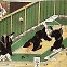 "백제를 구하라"... 백제부흥에 국운 걸었던 일본 천황