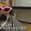 운명적 만남의 해피엔딩…“고통의 이유를 아는 만큼 사랑할 수 있다”[우당탕탕 귤엔터]