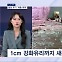 [뉴스추적] 살상 무기 다름없는 '새총 테러'…실제 처벌은 얼마나