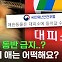 [스브스뉴스] 반려동물 재난 관리사가 알려주는 반려동물 가족을 위한 재난 대비 가이드라인