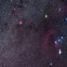 밝아지는 초거성 베텔게우스… ‘초신성 폭발’ 하나? [아하! 우주]