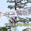 잔디 위에 펼쳐진 되찾은 일상 [뉴스+현장]