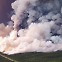 [뉴스라이브] 남한 면적 40% 집어삼킨 캐나다 산불..."기후변화 영향"