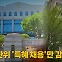 [나이트포커스] 선관위 '특혜 채용'만 감사 받는다?