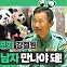 “푸바오, 꼭 중국 보내야…” 사육사가 아기 판다 중국行 찬성하는 이유