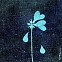 왼쪽 가슴 아래께에 온 통증[나민애의 시가 깃든 삶]〈402〉