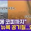 [현장의재구성] 캐나다 산불 확산 '비상'…연기가 뉴욕 하늘까지