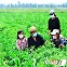 [데일리 북한] 농업근로자들에 "정신력 최대로 분출" 촉구