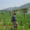 양조장 그림 그리러 제주도에서 비행기 타고 와요 [소설가 신이현의 양조장에서 만난 사람]