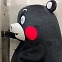 [日요일日문화]"쿠마몬 연 수입 1조원"…일본의 지역 캐릭터 이야기