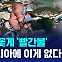 [D리포트] 푸른 꽃게 수입 '빨간불'…무엇이 문제?