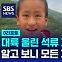 [D리포트] 대륙 울린 '석류 파는 소년' 알고 보니 연출