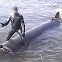 [포착] 은밀하게 접근해 ‘쾅’…우크라 ‘자폭 잠수함 드론’ 공개