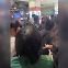 [잇슈 키워드] “애 엄마가 유모차 버리고 뛰길래”…한국인 여성, 가까스로 탈출