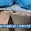 [기후는 말한다] 영국 BBC “프랑스, 내년 파리올림픽 앞두고 빈대와의 전쟁”