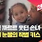 [현장영상] 숨진 손녀에게 보내는 마지막 키스…가자지구 할아버지의 눈물
