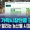 [D리포트] "서울 가락시장만큼 큰"…온라인 농산물 도매시장 출범
