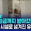 [D리포트] 유기동물 175마리 입양한 뒤 지원금 타내…경찰 조사 중