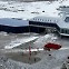 [월드리포트] "기후변화 연구 적절"…중국 5번째 남극기지 '친링' 운영