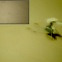 NASA 로버가 포착한 화성 헬리콥터의 부러진 날개 [여기는 화성]