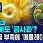 [D리포트] 올해도 '금사과'?…공급 부족에 '애플레이션' 계속